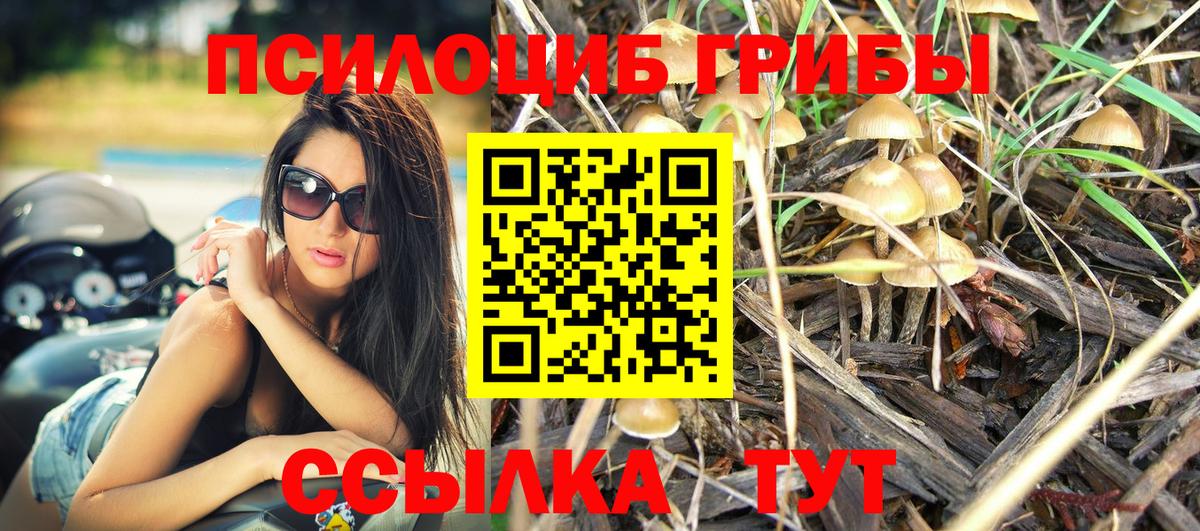 Псилоцибиновые грибы Magic Shrooms  Псилоцибиновые грибы Cubensis  Вход с VPN  купить наркотики сайты  Нарткала 